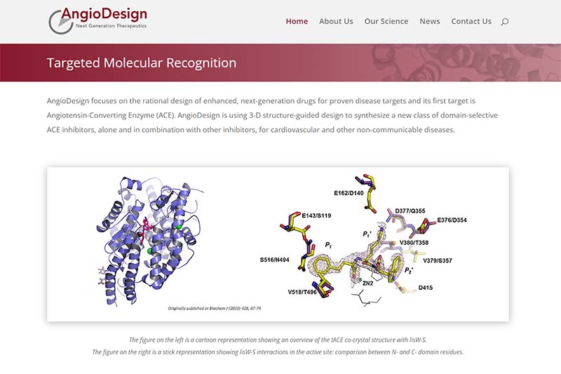 AngioDesign